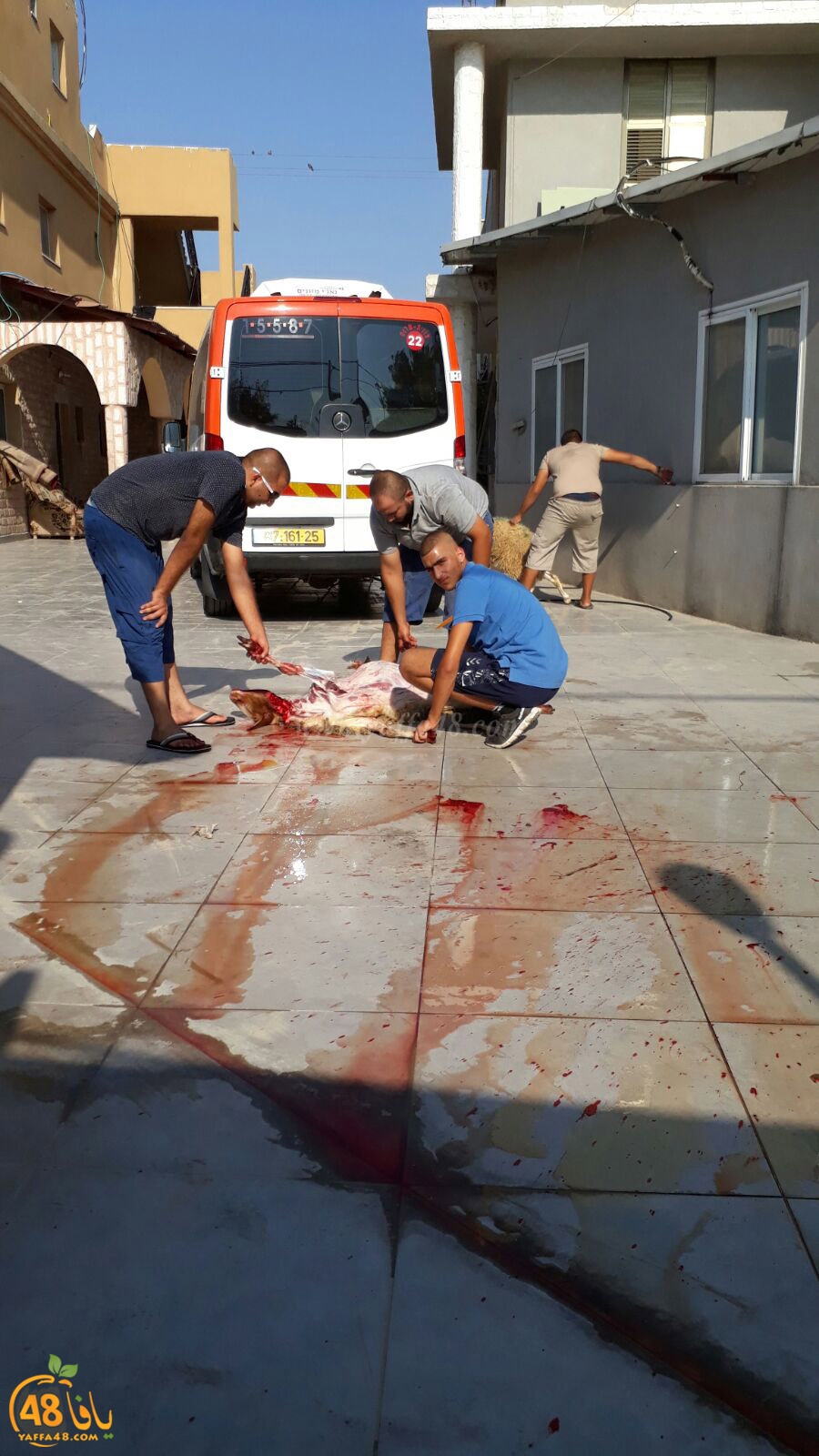 dab7 ada7y wu3ed (40).jpg